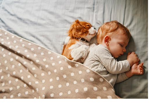 A baby sleeping peacefully at home, long after the project is finished